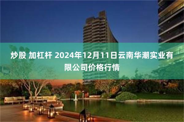 炒股 加杠杆 2024年12月11日云南华潮实业有限公司价格行情