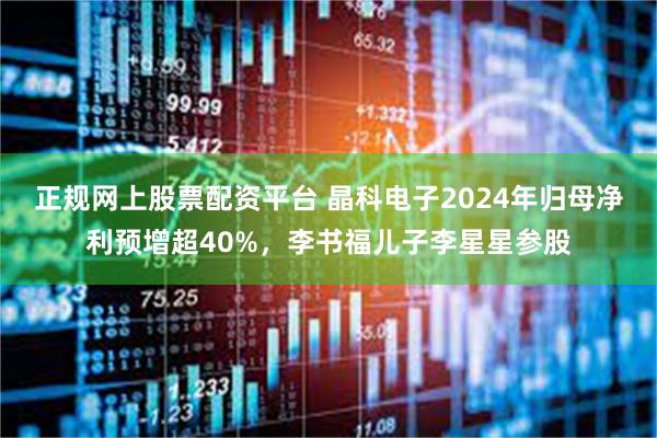 正规网上股票配资平台 晶科电子2024年归母净利预增超40%,李书福儿子李星星参股