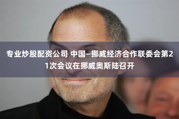 专业炒股配资公司 中国—挪威经济合作联委会第21次会议在挪威奥斯陆召开