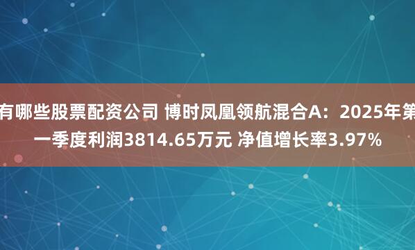 有哪些股票配资公司 博时凤凰领航混合A：2025年第一季度利润3814.65万元 净值增长率3.97%