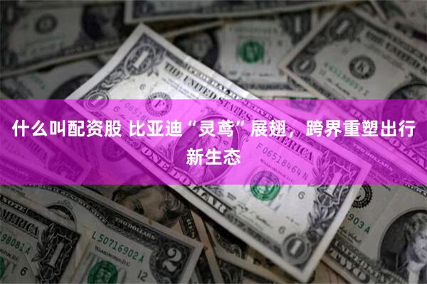 什么叫配资股 比亚迪“灵鸢”展翅，跨界重塑出行新生态
