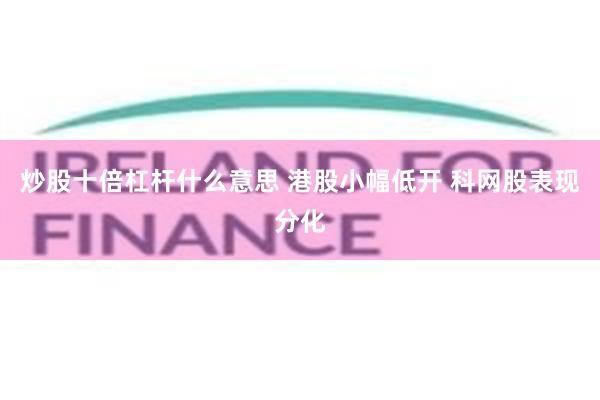 炒股十倍杠杆什么意思 港股小幅低开 科网股表现分化
