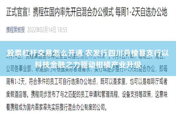 股票杠杆交易怎么开通 农发行四川丹棱县支行以科技金融之力驱动柑橘产业升级