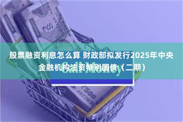 股票融资利息怎么算 财政部拟发行2025年中央金融机构注资特别国债（二期）