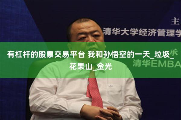 有杠杆的股票交易平台 我和孙悟空的一天_垃圾_花果山_金光