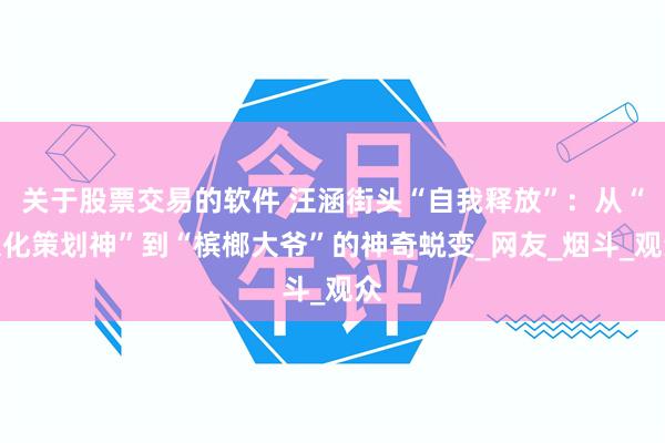 关于股票交易的软件 汪涵街头“自我释放”：从“文化策划神”到“槟榔大爷”的神奇蜕变_网友_烟斗_观众